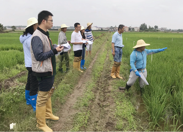 AG�콢����������������Ʒӭ���������ִ�